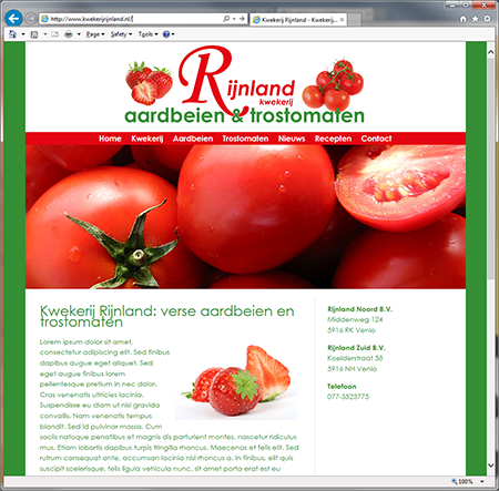 Rijnland aardbeienkwekerij